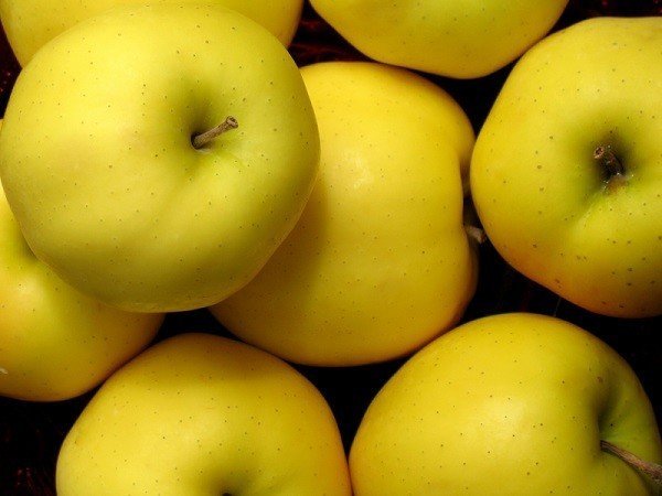 Яблоки голден делишес