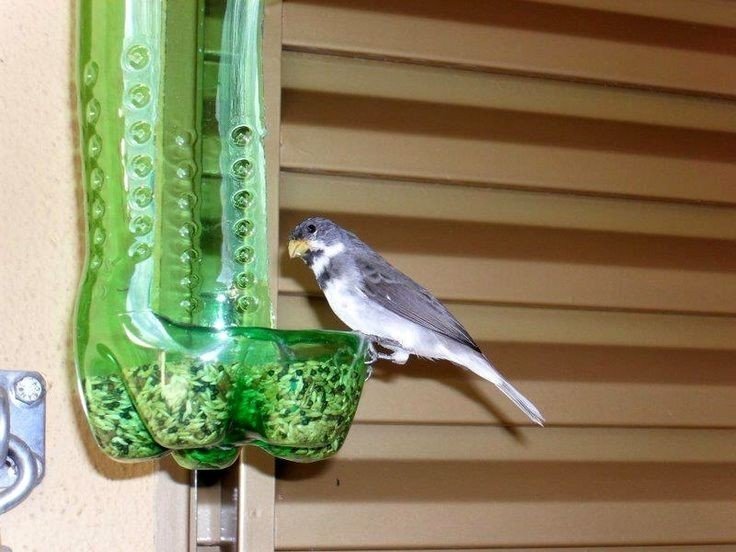 Кормушка для птиц своими руками из бутылки