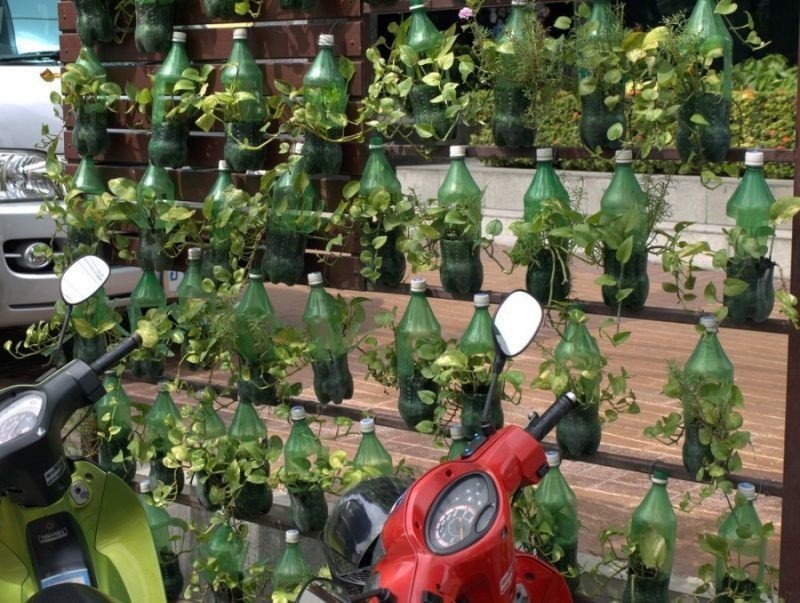 Подвесной огород в пластиковых бутылках
