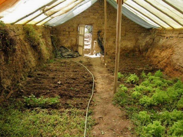 Walipini underground greenhouse