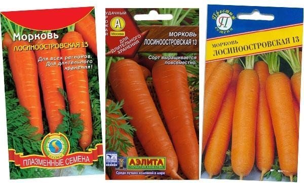Морковь лосиноостровская нантская