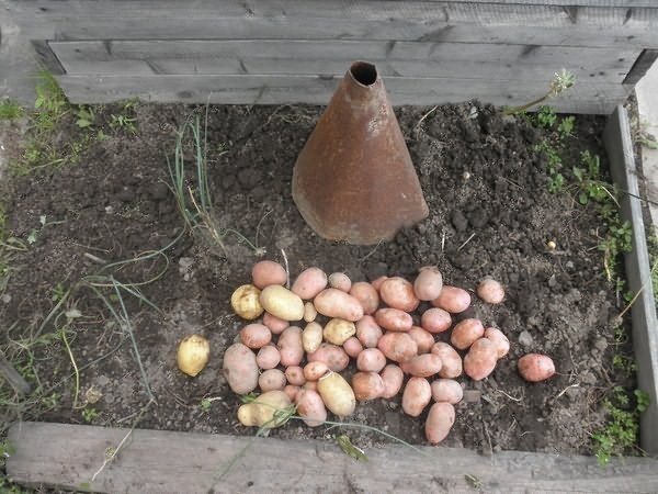 Конус для посадки картошки