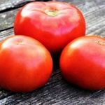 Красный петух томат: характеристика и выращивание сорта помидоров