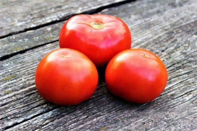 Семена томат «красный петух»