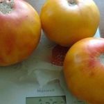 Медовый салют – румяный томат на радость огороднику