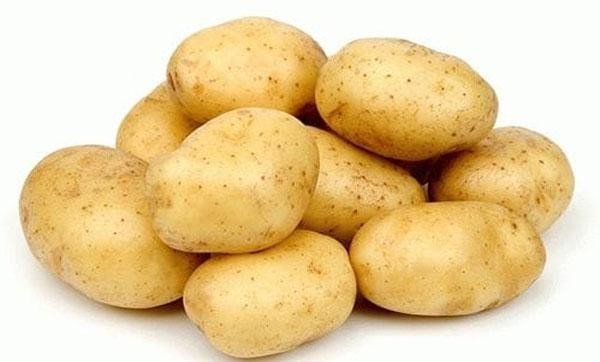 Картофель сорт агнета