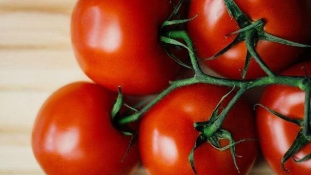 Описание, применение, особенности выращивания томата «Де Барао гигант»
