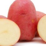Описание сорта картофеля Лабелла особенности выращивания и ухода