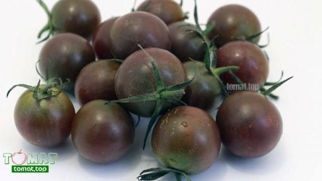 Томат Гелена F1: характеристика и описание сорта, отзывы об урожайности помидоров, фото семян