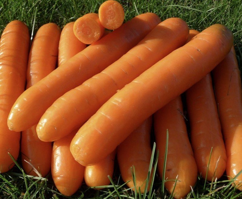 Морковь без прополки сорт
