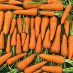 Семена Морковь Абледо F1, 0,3г, AgroElita, Seminis