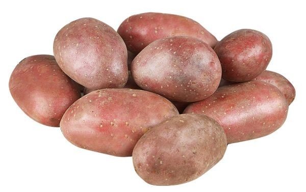 Картофель сорт родриго