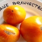 Сорт с деликатесным вкусом — томат Ваше Величество