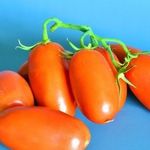 Томат Детские пальчики F1: отзывы об урожайности помидоров, фото семян Седек, описание и характеристика сорта