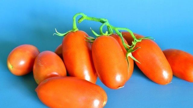 Томат Пальчики Мальвины: характеристика и описание сорта, отзывы об урожайности, фото помидоров