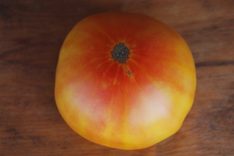 Сорт томата загадка природы