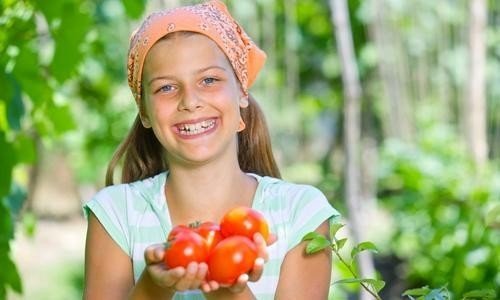 Девочка держит в руках помидоры