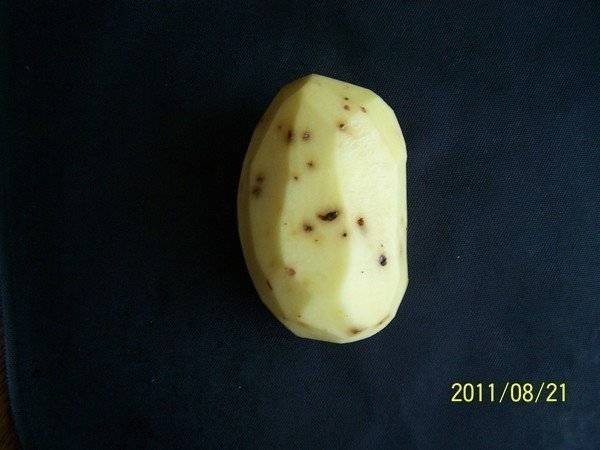 Картошка изъеденная проволочником