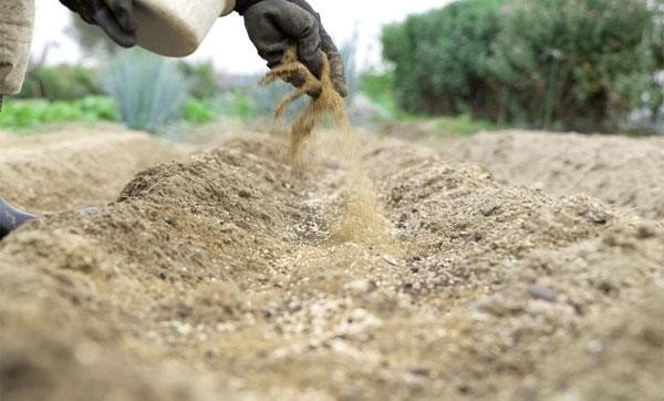 Внесение костной муки в почву