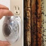 Ультразвук от муравьев в квартире: описание устройств, механизм действия, эффективность