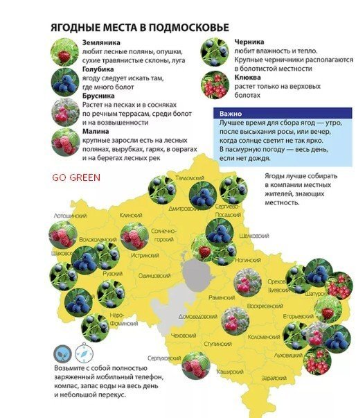 Карта сбора ягод в московской области