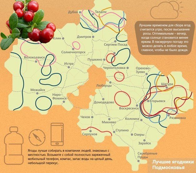 Карта сбора ягод в московской области