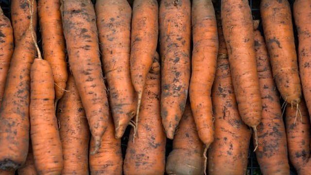 Как хранить морковь в домашних условиях