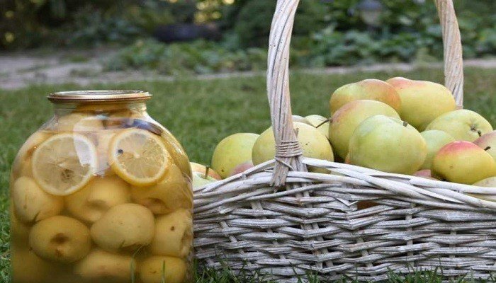 Компот с лимоном и яблоком