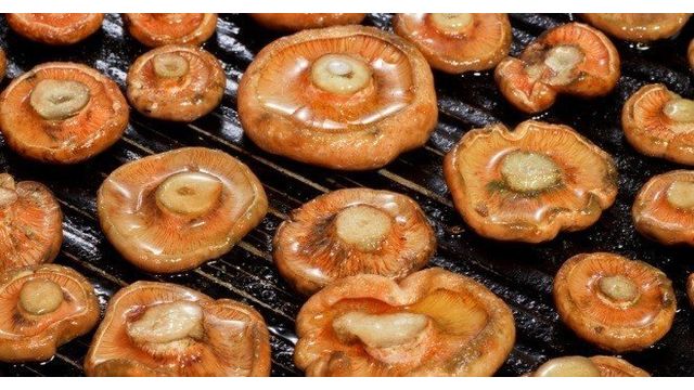 Жареные рыжики — лучшие идеи приготовления вкусных грибных блюд
